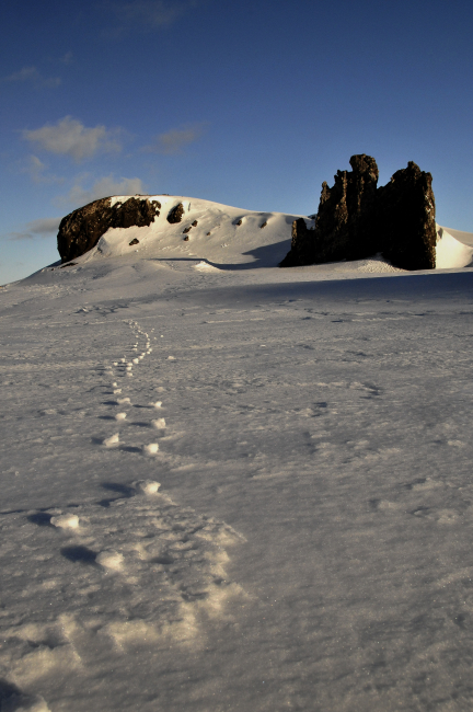 Tracks leading up to a snowy pinnacle