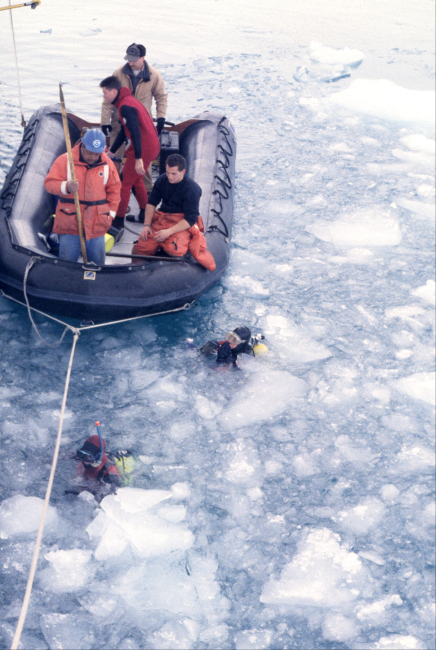 SCUBA divers emerge beside a Zodiac from the icy depths of AdmiraltyBay during the 1995 field season