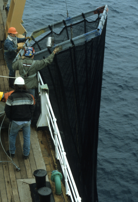 A trawl net, used to collect zooplankton and pelagic fish samples