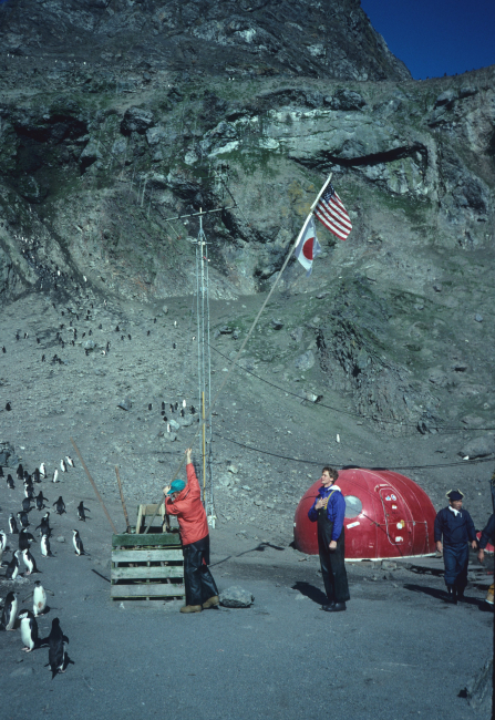 The American and Japanese flags are flown at the Seal Island field station