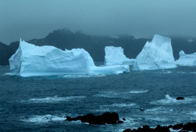 Icebergs on a foggy day