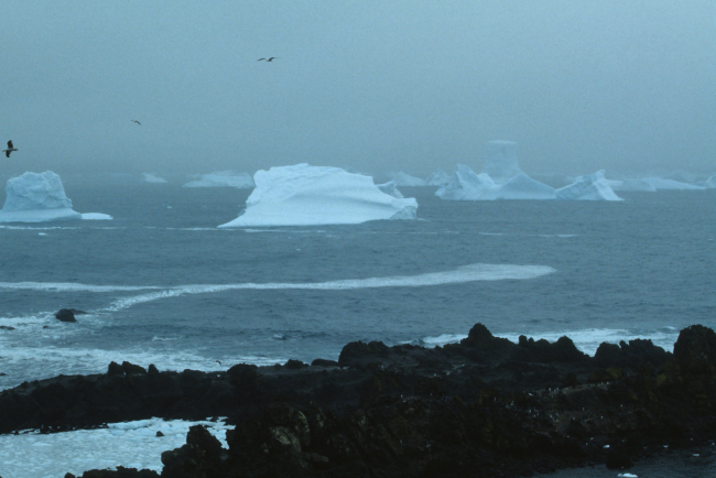 The icy coast of Seal Island, near Elephant Island