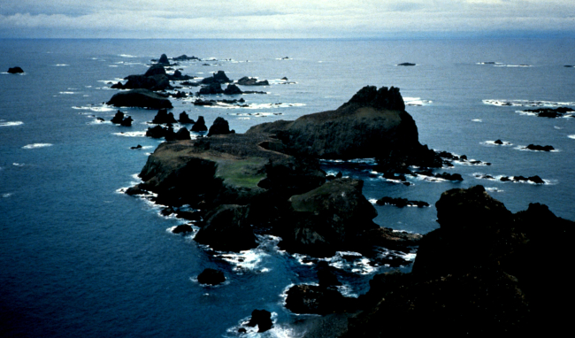 A cliffside penguin colony in the South Shetland Islands