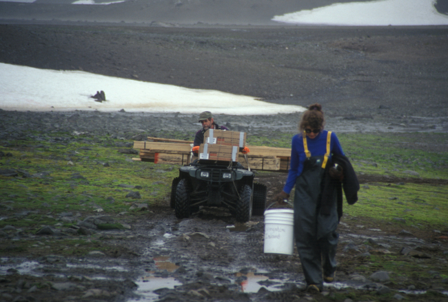 Bringing supplies overland to the Cape Shirreff field camp on LivingstonIsland, South Shetland Islands