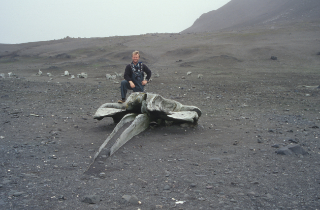 An AMLR scientist with a large whalebone