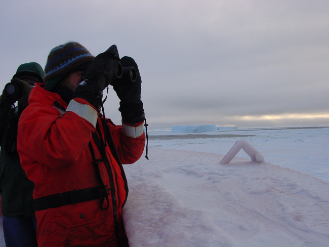 A scientist looks out over the icy seas, South Shetland Islands
