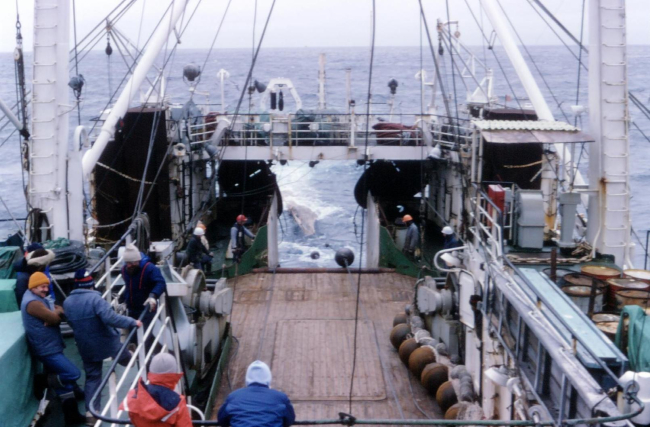 Deploying trawl off the R/V Professor Siedlecki in 1986, the first year of the AMLR Program