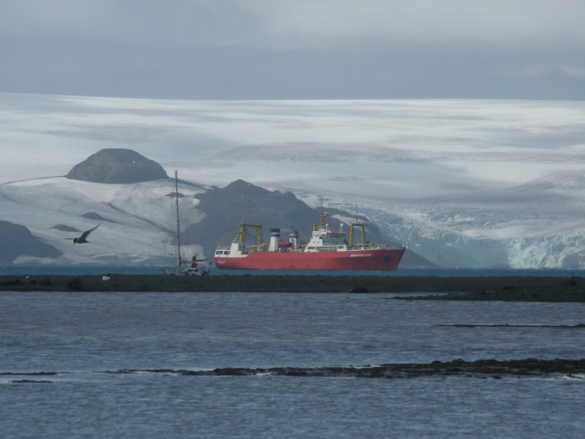 The RV Yuzhmorgeologiya sits in Admiralty Bay, awaiting scientists who are offloading supplies to the Copacabana field station on King George Island