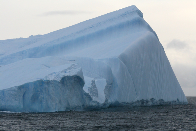Iceberg, South Shetland Islands
