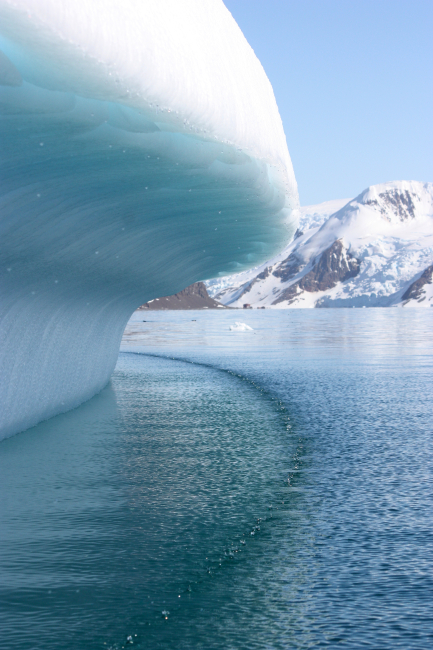 The edge of an iceberg, melting in the Austral summer