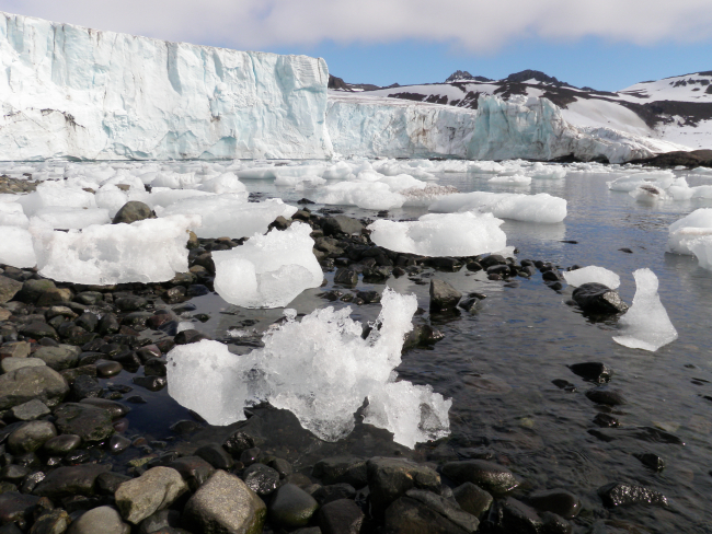 Melting ice at the edge of a glacier, King George Island
