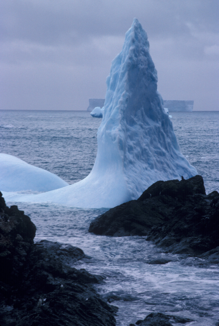 Iceberg, Seal Island, South Shetland Islands