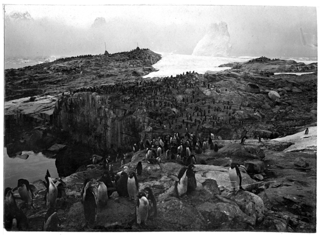 An Adelie penguin colony at Petermann Island during the Charcot Expedition taken from the same point as image fish9029