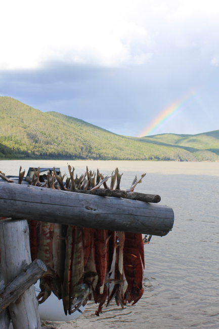 Drying salmon on the Yukon River with a rainbow on the far bank of the river