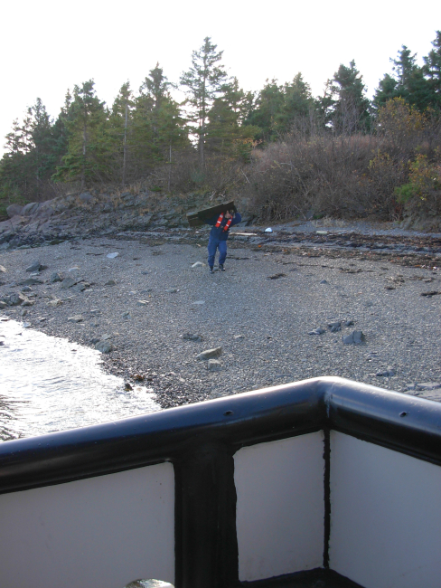 Removing marine debris from shoreline near Eastport