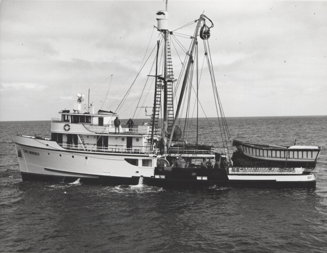 The contemporary seiner Cape Beverly on maiden voyage after conversion