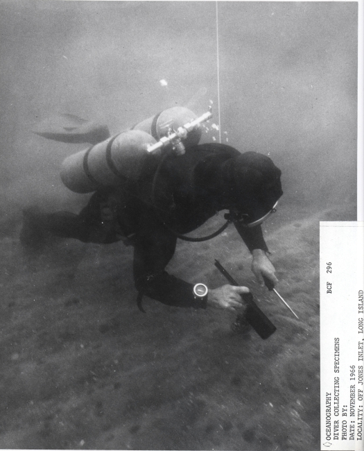 BCF diver collecting specimens