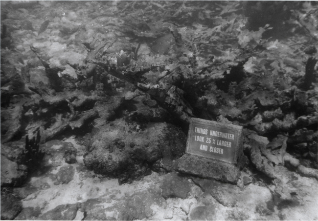 Sign indicating optical effect of viewing objects underwater