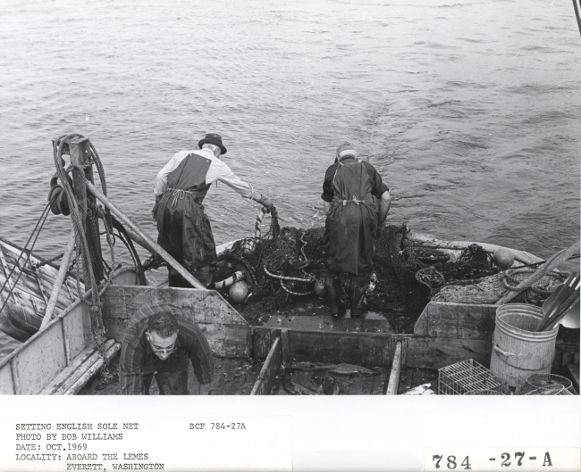 Setting net for English sole aboard the fishing vessel LEMES