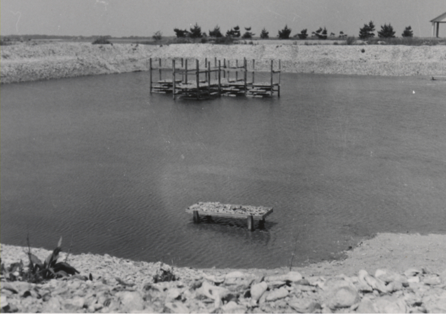 General view of artificial pond used in experiments on propagation of Europeanoysters