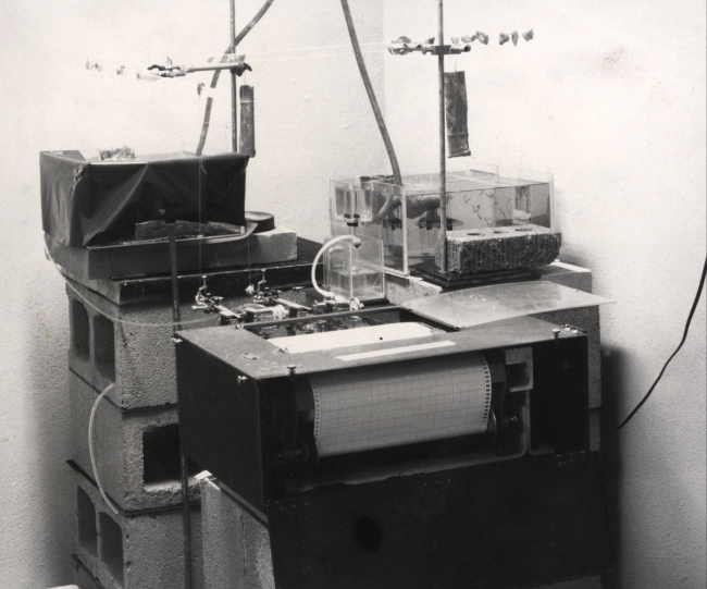 Apparatus used in recording shell movement and pumping rate of oysters in theGalveston sea water laboratory