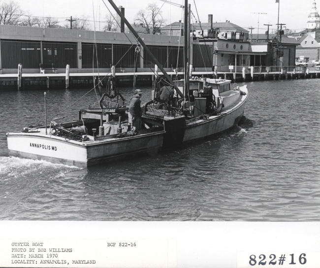 Oyster boat in the harbor at Annapolis