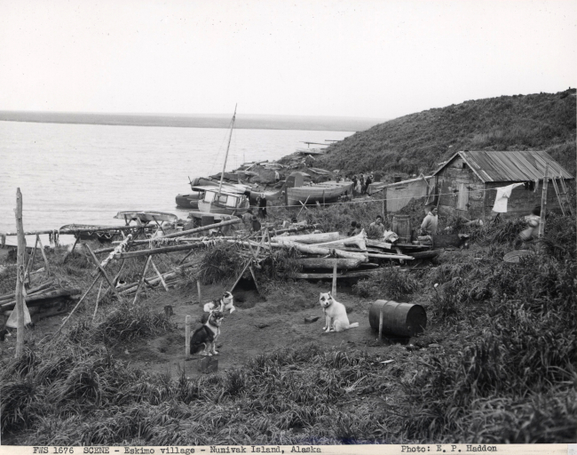 Eskimo village with dogs, boats and house