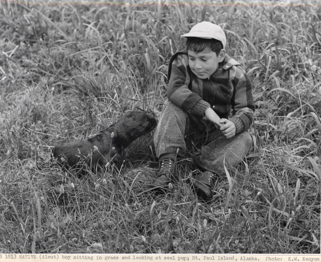 Aleut boy sitting in the grass with a fur seal pup