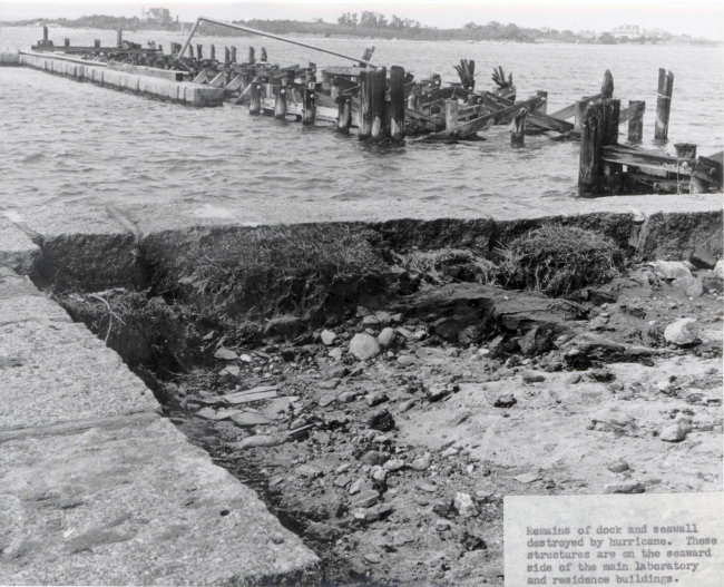 Remains of dock and seawall damaged at Woods Hole BCF Biological Laboratoryby Hurricane Carol