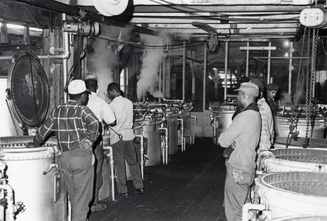 Alewife canning - Line of cookers for handling canned alewives and cannedalewife roe at Haynie Cannery