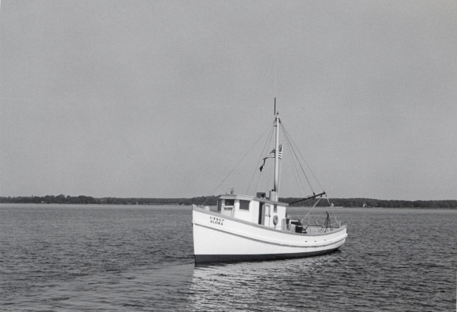 The BCF fishing vessel ALOSA