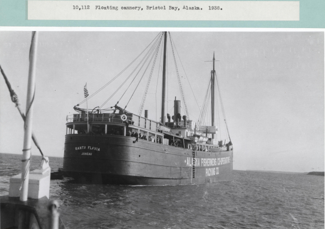 A floating cannery ship SANTA FLAVIA owned by the Alaska FisheriesCo-operative Packing Company