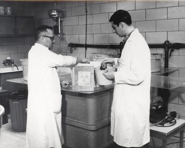 Biologists preparing specimens for X-ray examination