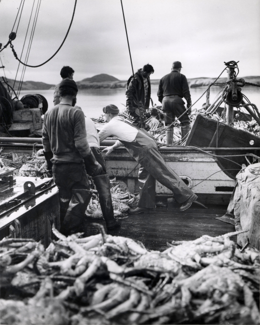 King crab operations in the Kodiak Island area