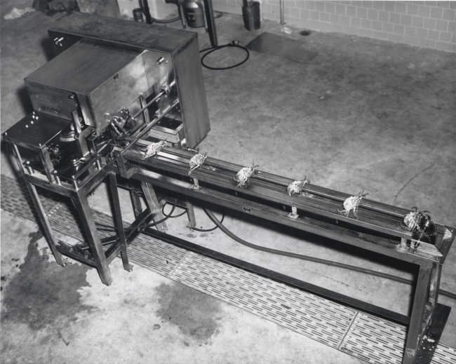 Assembled commercial prototype of a crab cleaner-debacker machinedeveloped by the American Scientific Corporation for BCF