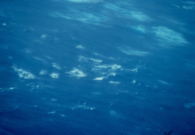 Sea surface as observed from 500 feet in Hurricane Belle