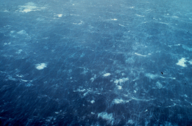 Sea surface as observed during Hurricane Caroline
