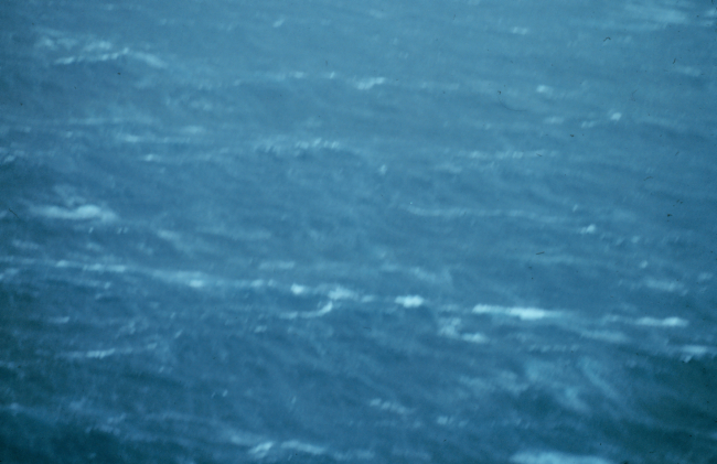 Sea surface as observed from 500 feet in Hurricane Belle