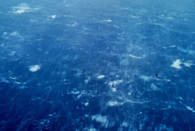 Sea surface as observed during Hurricane Caroline