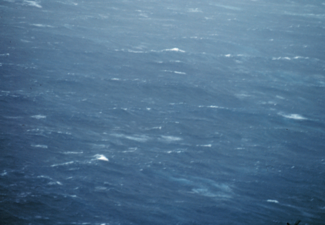 Sea surface from approximately 500 feet altitude in Hurricane Belle