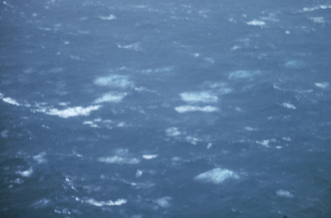 Sea surface as observed during Hurricane Greta
