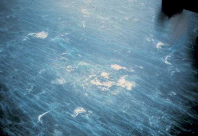 Sea surface as seen from NOAA P-3 at 5000 feet during Hurricane Hugo