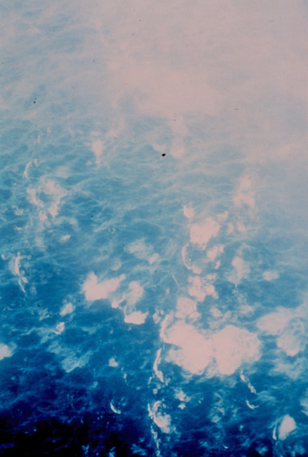 Sea surface as seen from NOAA P-3 at 5000 feet during Hurricane Hugo