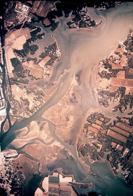 Aerial photograph of tidal channels on the Southeast coast of the United States