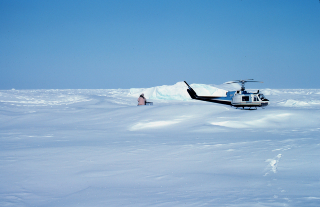 Helicopter operations on the Bering Sea during OuterContinental Shelf Environmental Assessment studies