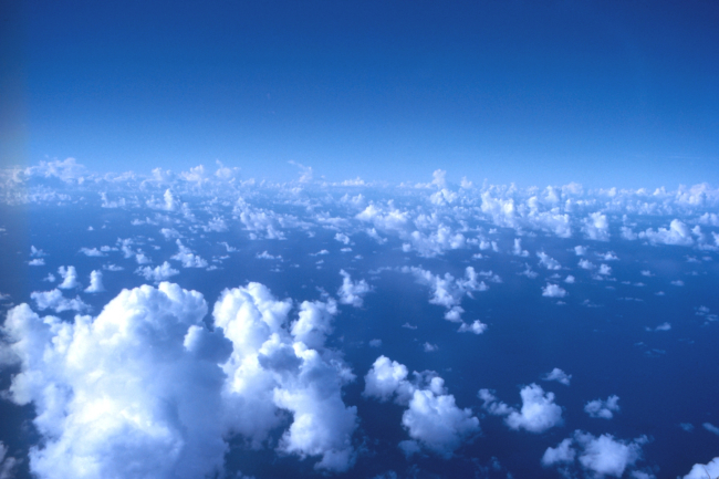 A sea of cumulus over the tropical Atlantic