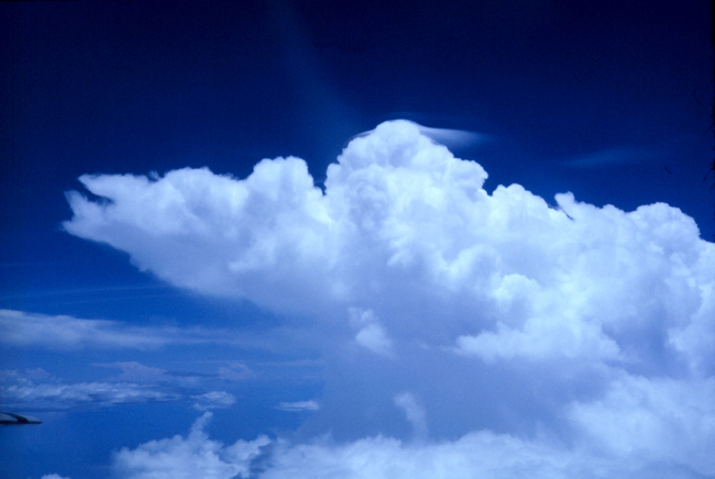 Cumulo-congestus observed during Project Cloudline