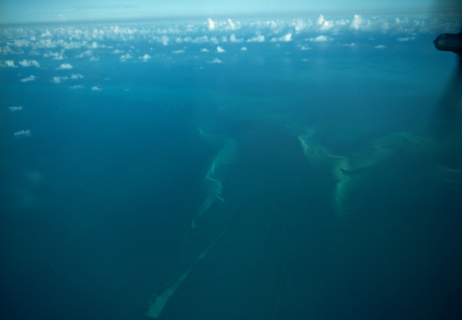 Submarine topography as seen over Florida Gulf Coast while on way to investigateTropical Storm Ella