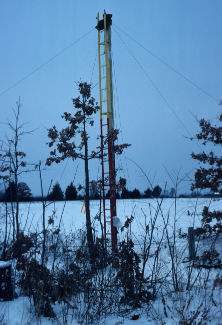Swedish poles with lowest set of guy wires secured