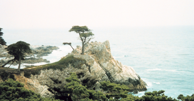 Cypress Point - a world famous landmark on 17 Mile Drive
